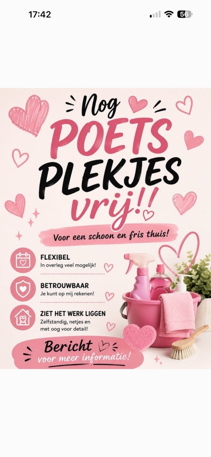 Schoonmaakster aangeboden, Variabele uren, Vanaf 10 jaar, Overige vormen, Geschikt als bijbaan