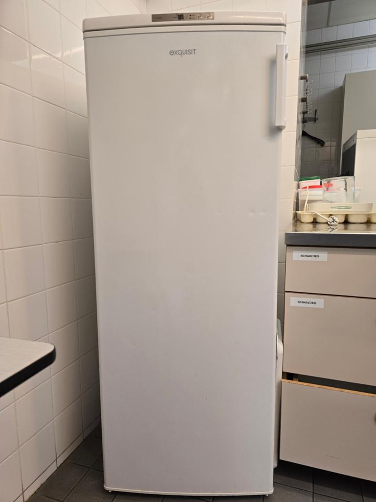 Exquisit GS 235-4 EA++, diepvriezer met 6 laden, h143xb55xd5, Witgoed en Apparatuur, Vriezers en Diepvrieskisten, Gebruikt, Minder dan 60 cm