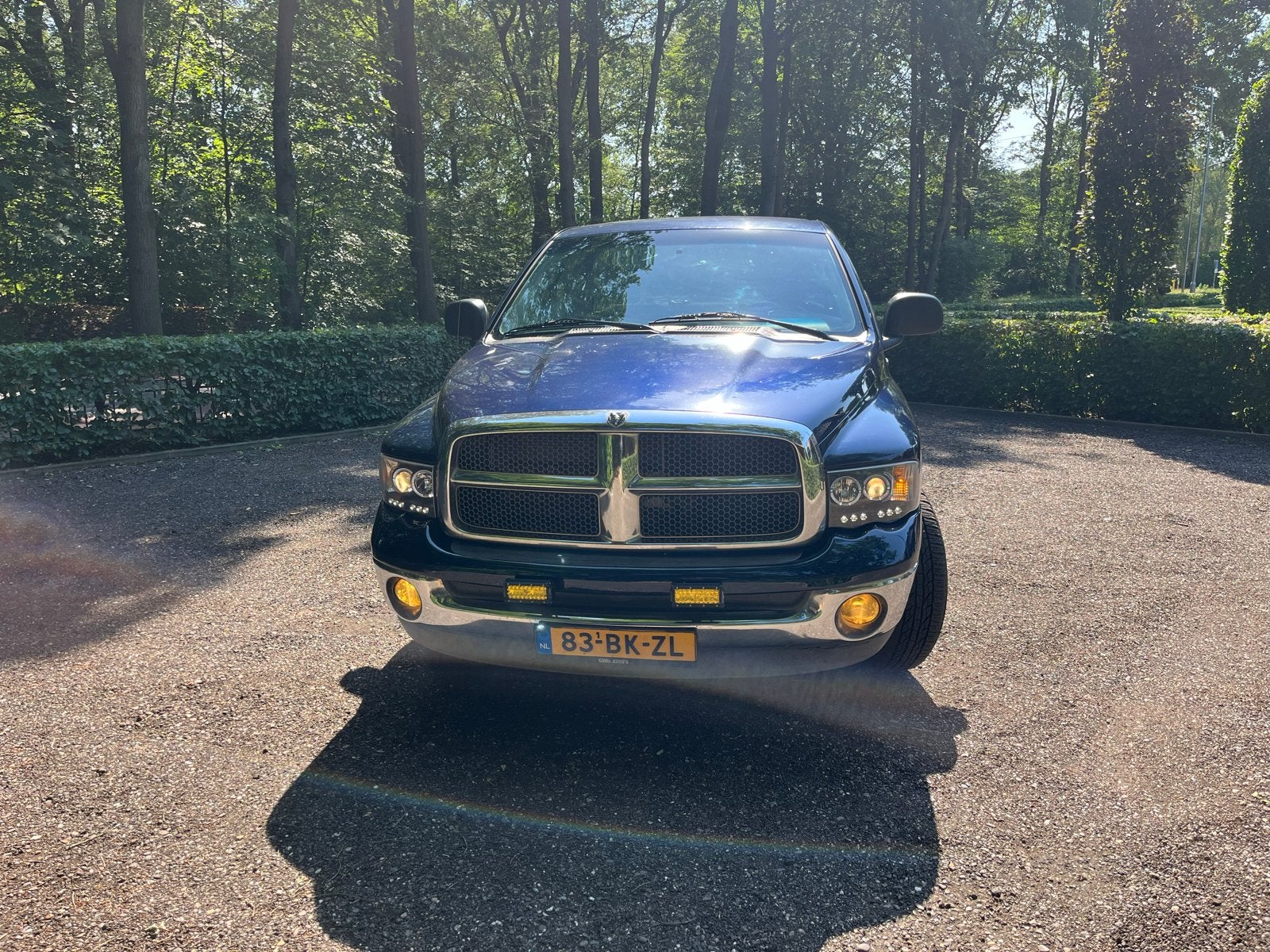 Dodge 2002, Automaat, 238 pk, 8 cilinders, Blauw