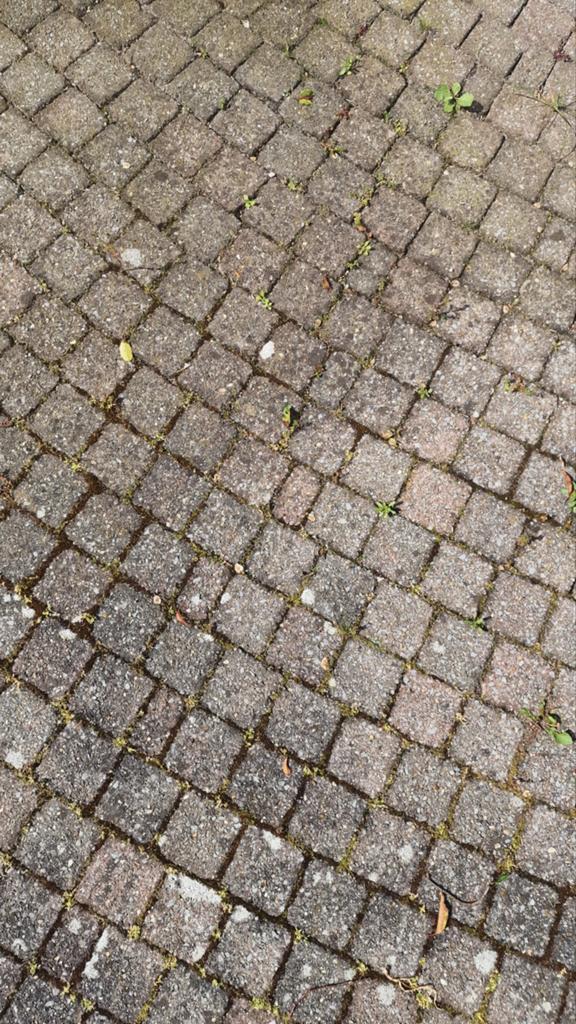 50m2 9x9 klinkers GRATIS, Ophalen, Gebruikt, Beton, Klinkers