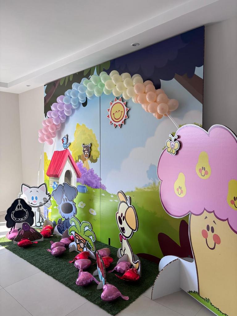 Woezel & Pip Kinderfeestje te koop, Ophalen, Zo goed als nieuw, Versiering, Verjaardag