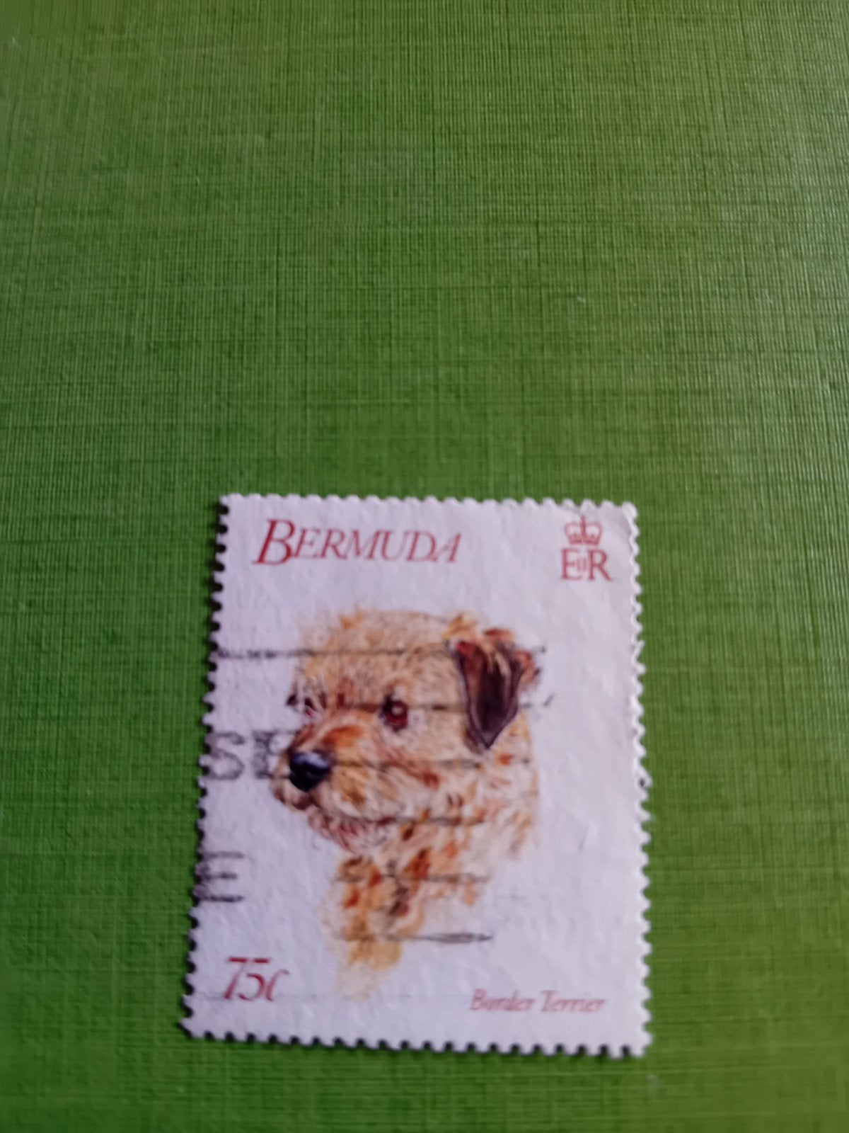 Bermuda postzegel met Border Terriër, 75c, Ophalen of Verzenden, Gestempeld