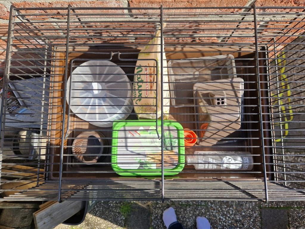 Hamsterhok en toebehoren, Dieren en Toebehoren, Knaagdieren, September, Geslacht onbekend, Hamster