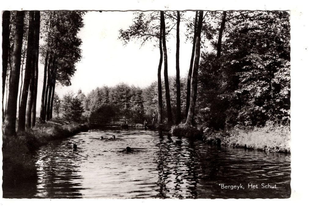 Bergeyk Bergeijk Zwemmen  Het Schut, Verzenden, 1940 tot 1960, Gelopen, Noord-Brabant