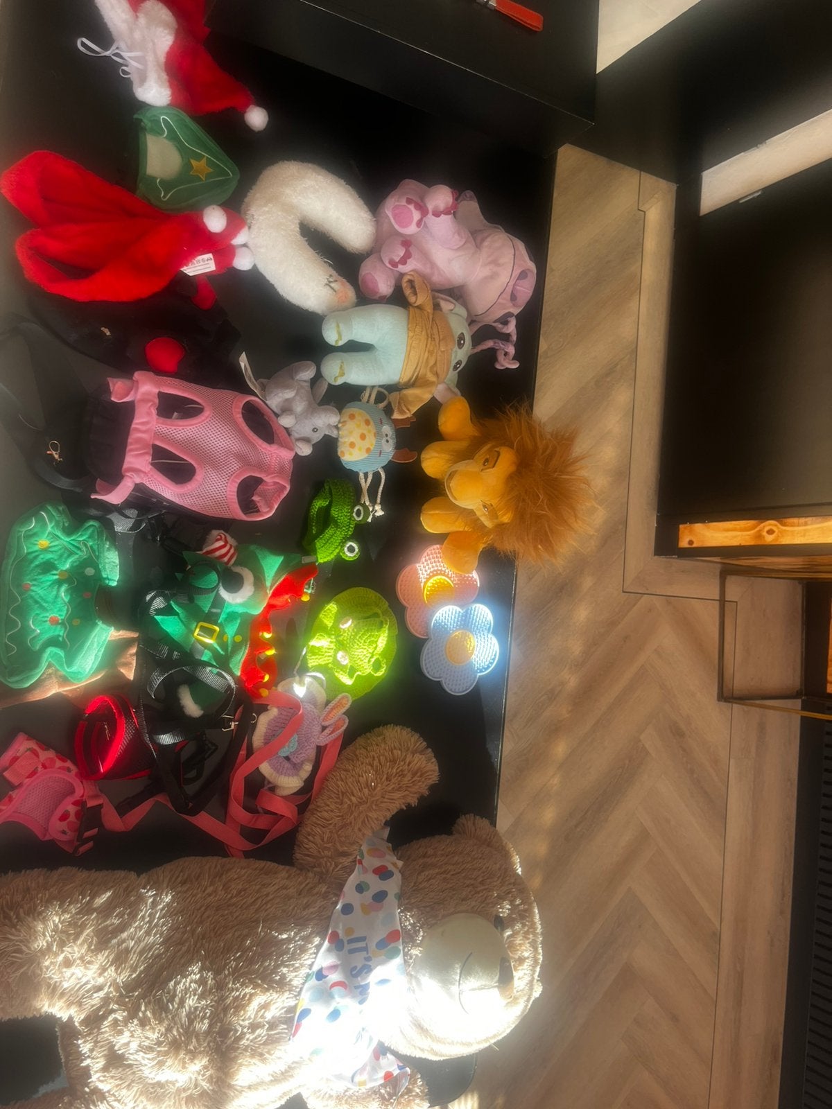Katten speelgoed / tuigjes / kleding, Ophalen, Gebruikt