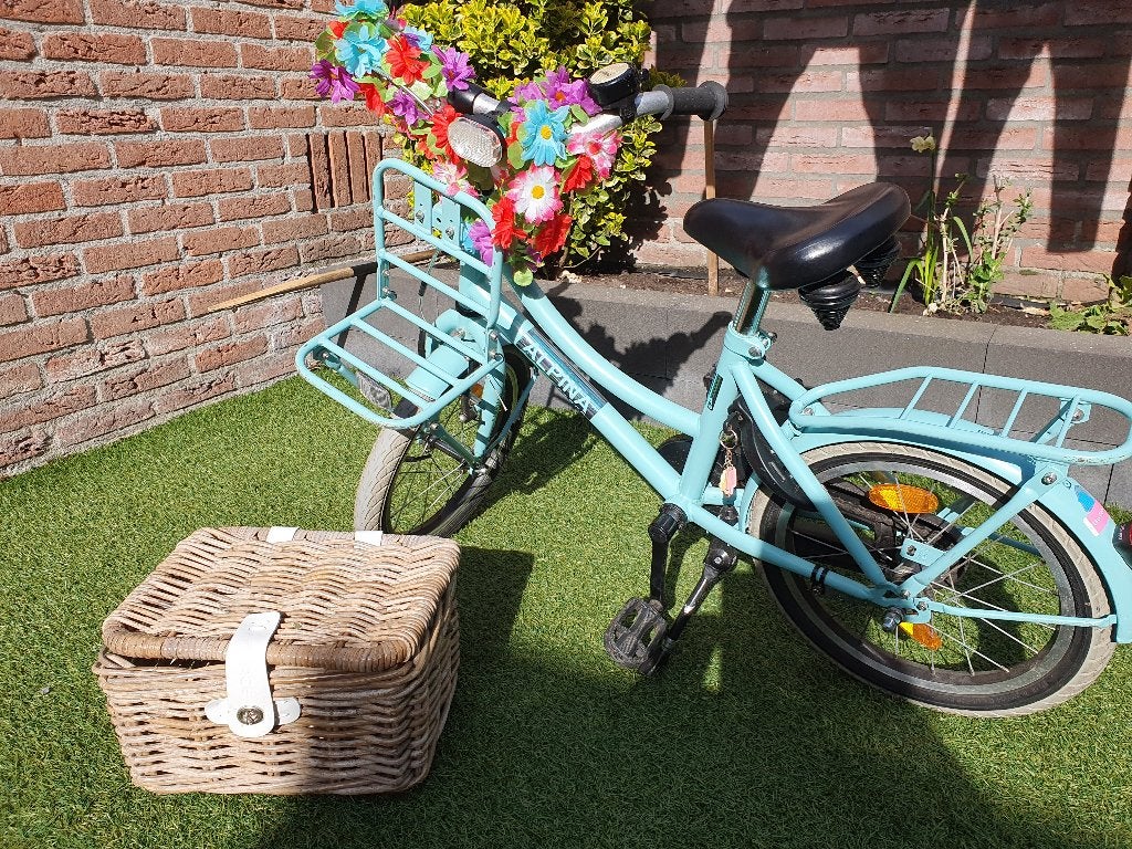 Mooie meisjesfiets Alpina Cargo 16 inch, Ophalen, Terugtraprem, Gebruikt, Alpina Cargo