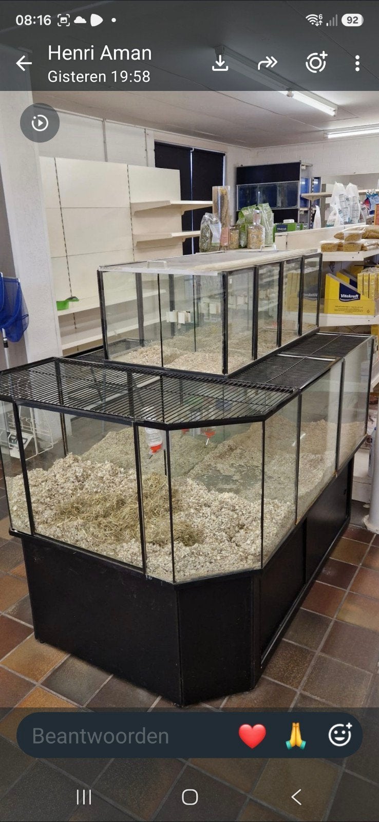 knaagdier stelling glas, Ophalen, 110 cm of meer, Hok, 90 cm of meer