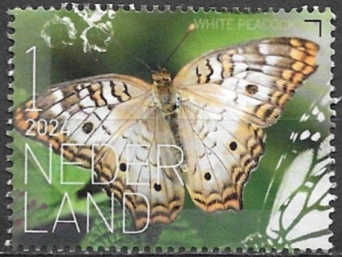 Nederland 2024 nvph 4179 insect VLINDER BONAIRE - WITTE PAUW, Verzenden, Na 1940, Gestempeld