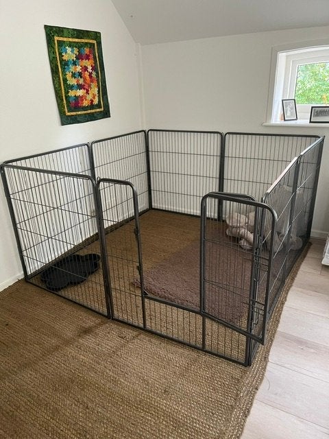 Puppyren Adori, Dieren en Toebehoren, Ophalen, Zo goed als nieuw