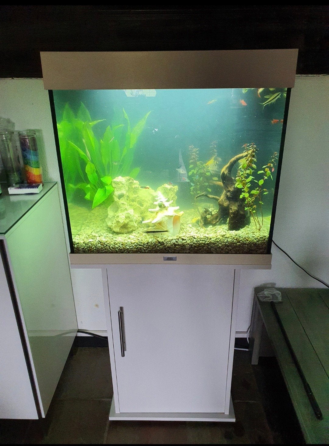 Aquarium Juwel lido 120, Dieren en Toebehoren, Vissen | Aquaria en Toebehoren, Ophalen, Gebruikt, Aquariummeubel