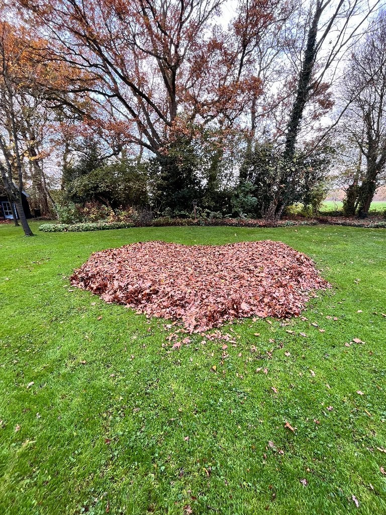 Foto 3 van Bladeren laten opruimen? | Broek Landwerken | Drenthe