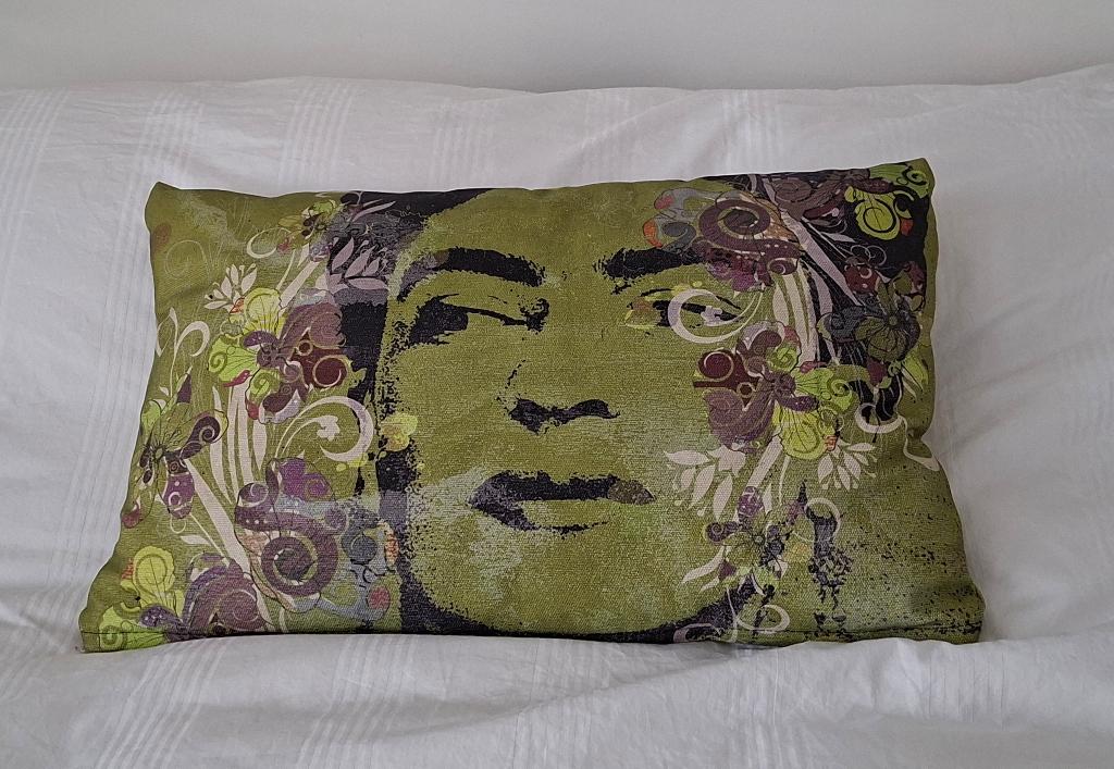 Frida Kahlo kussen, Ophalen of Verzenden, Zo goed als nieuw, Groen, Rechthoekig