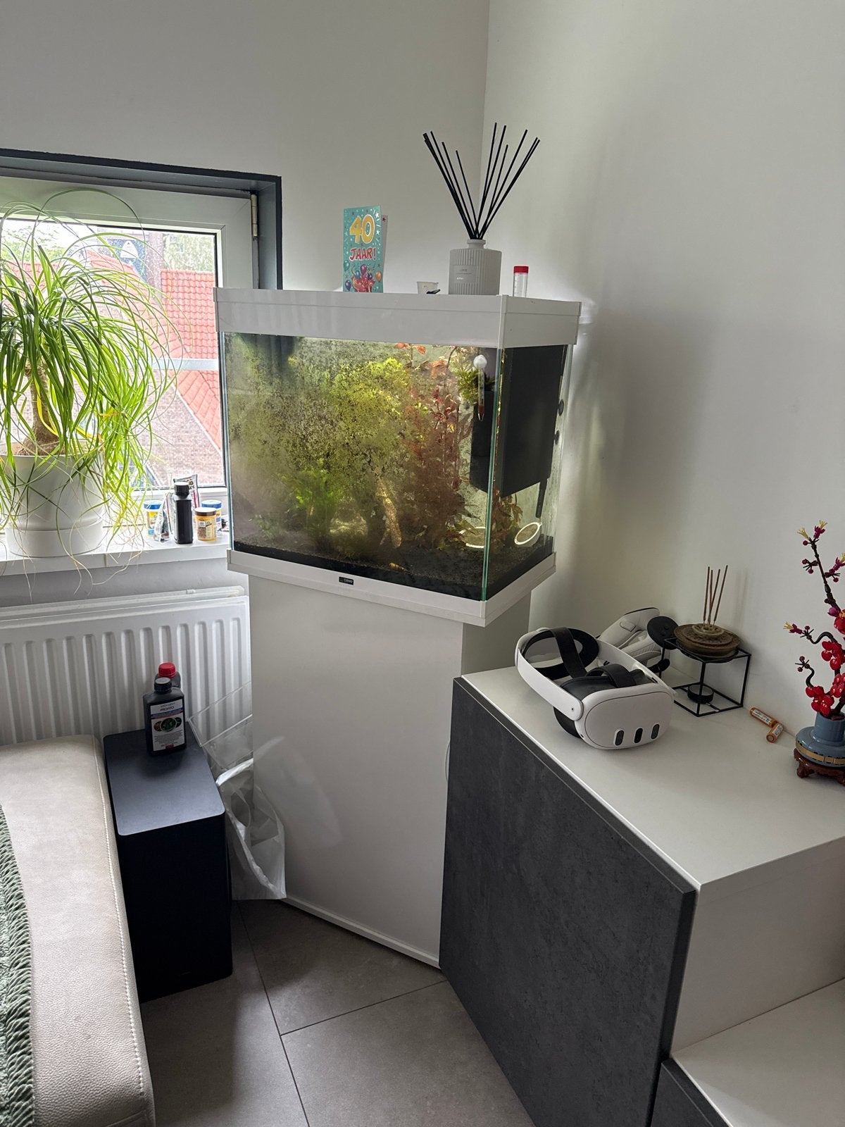 Aquarium te koop 250 liter, Ophalen, Gebruikt, Gevuld zoetwateraquarium