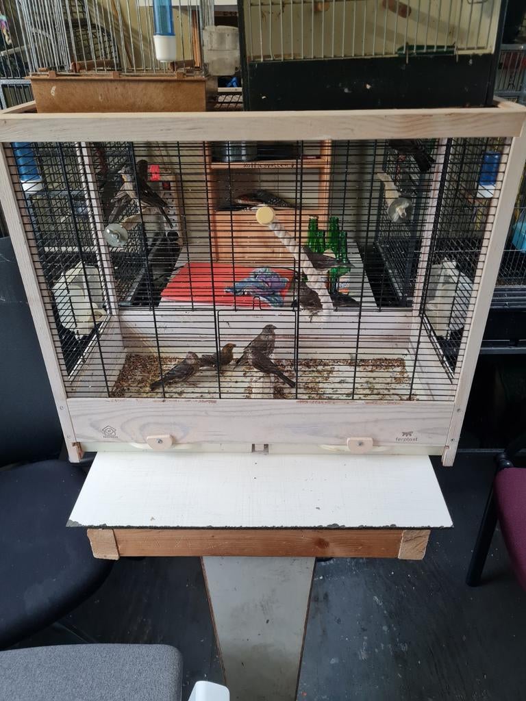 Vogel kooi, Ophalen of Verzenden, Zo goed als nieuw, Metaal, Vogelkooi