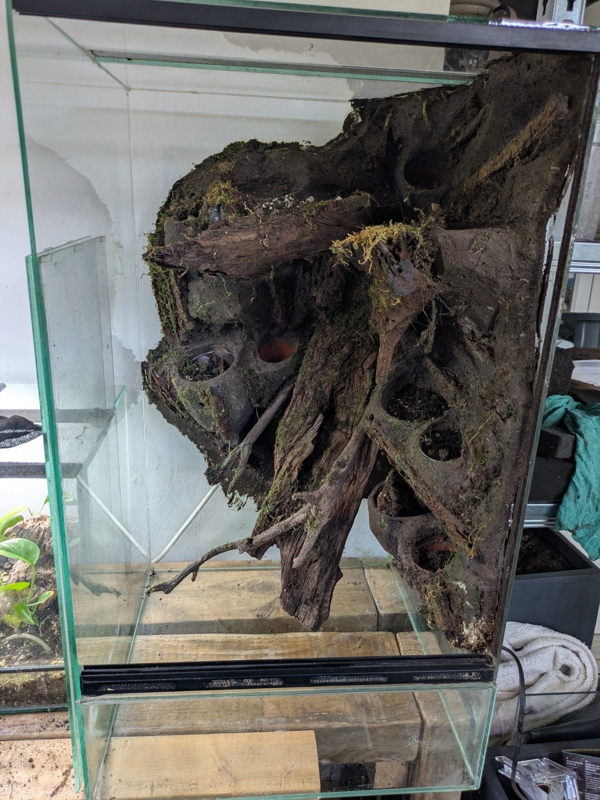 Terrarium 40x40x60 inclusief achtergrond, Ophalen, Gebruikt, Terrarium of Paludarium