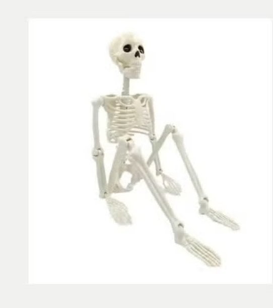 Halloween Skelet Decoratie – Hangend & Beweegbaar, Ophalen of Verzenden, Nieuw, Versiering, Halloween of Griezel