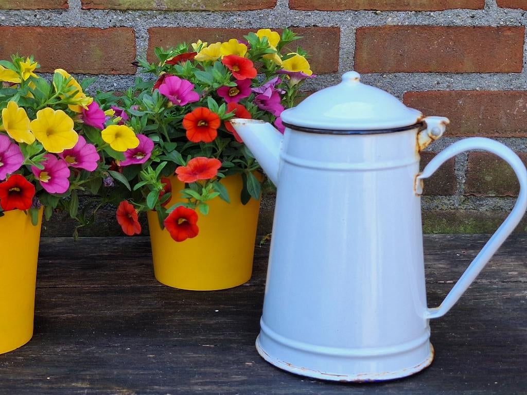 Emaille koffiekan, wit met blauw randje, Ophalen