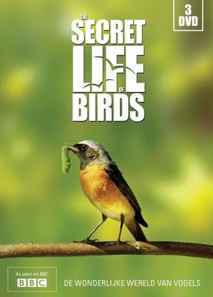 Secret life Birds dvd box 3 discs, Engels, Alle leeftijden, Nederlands, Natuur