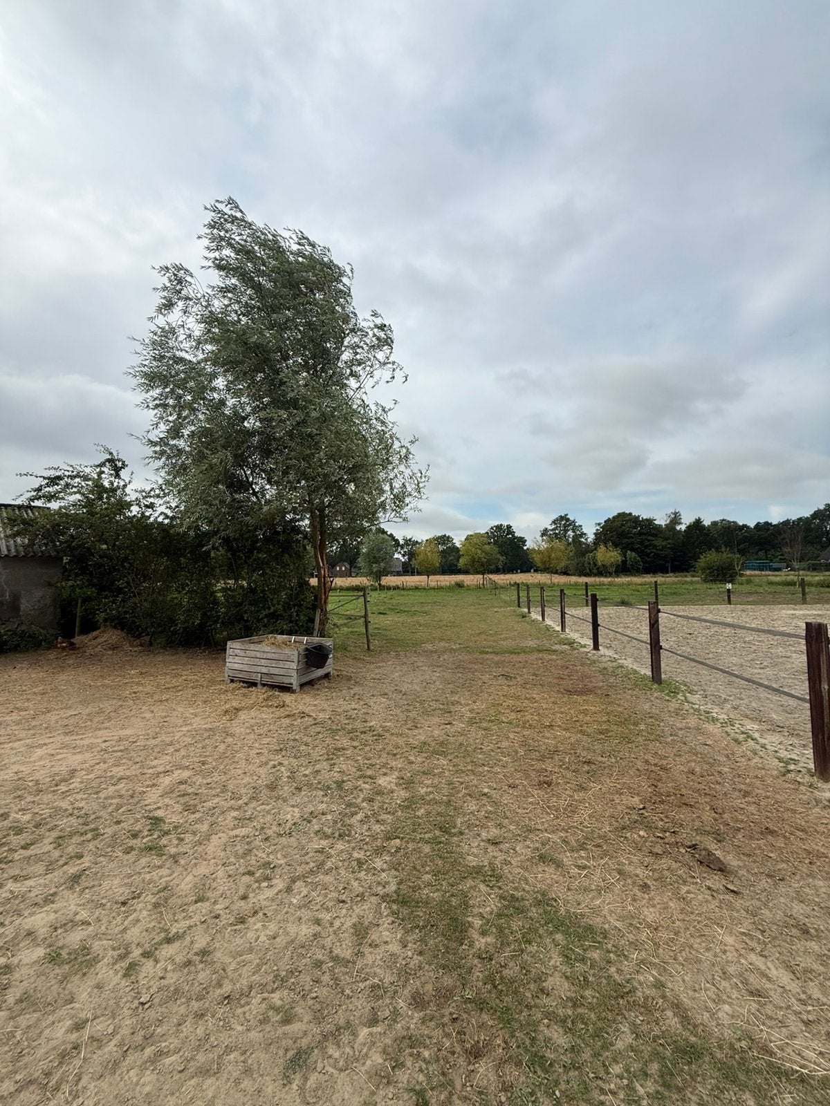 Stalling / weidegang / paddock aangeboden, Weidegang, 1 paard of pony