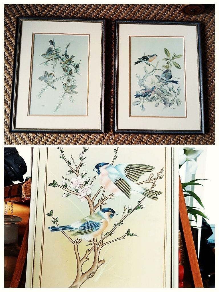 Vintage prenten van vogels achter glas, Ophalen of Verzenden