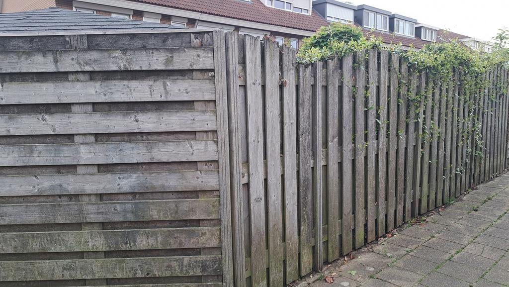 Houten schutting panelen, Ophalen, 6 meter of meer, Hout, 1 tot 2 meter