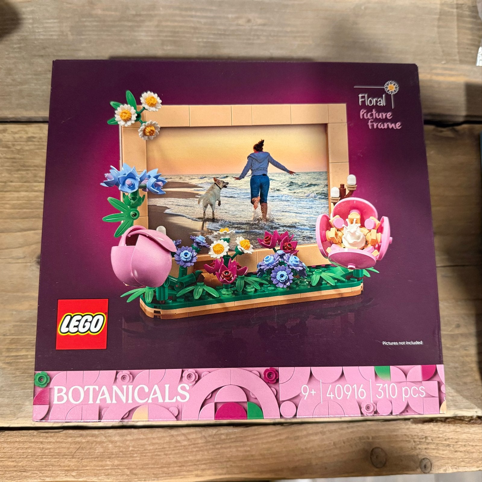 LEGO Botanicals Bloemen Fotolijst 40916 - Nieuw in doos, Ophalen, Nieuw, Overige merken