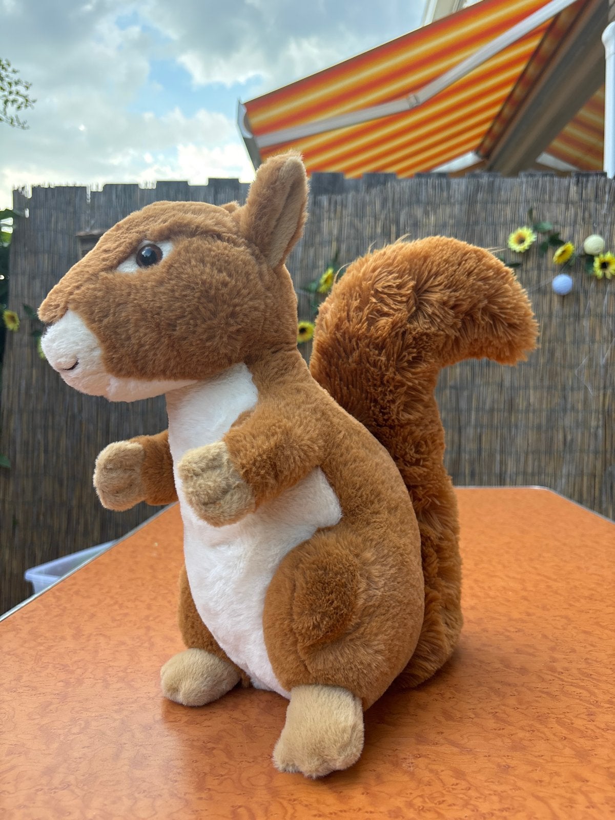 Leuke pluche eekhoorn knuffel, Overige typen, Ophalen of Verzenden, Zo goed als nieuw, Middelgroot (20 tot 80 cm)