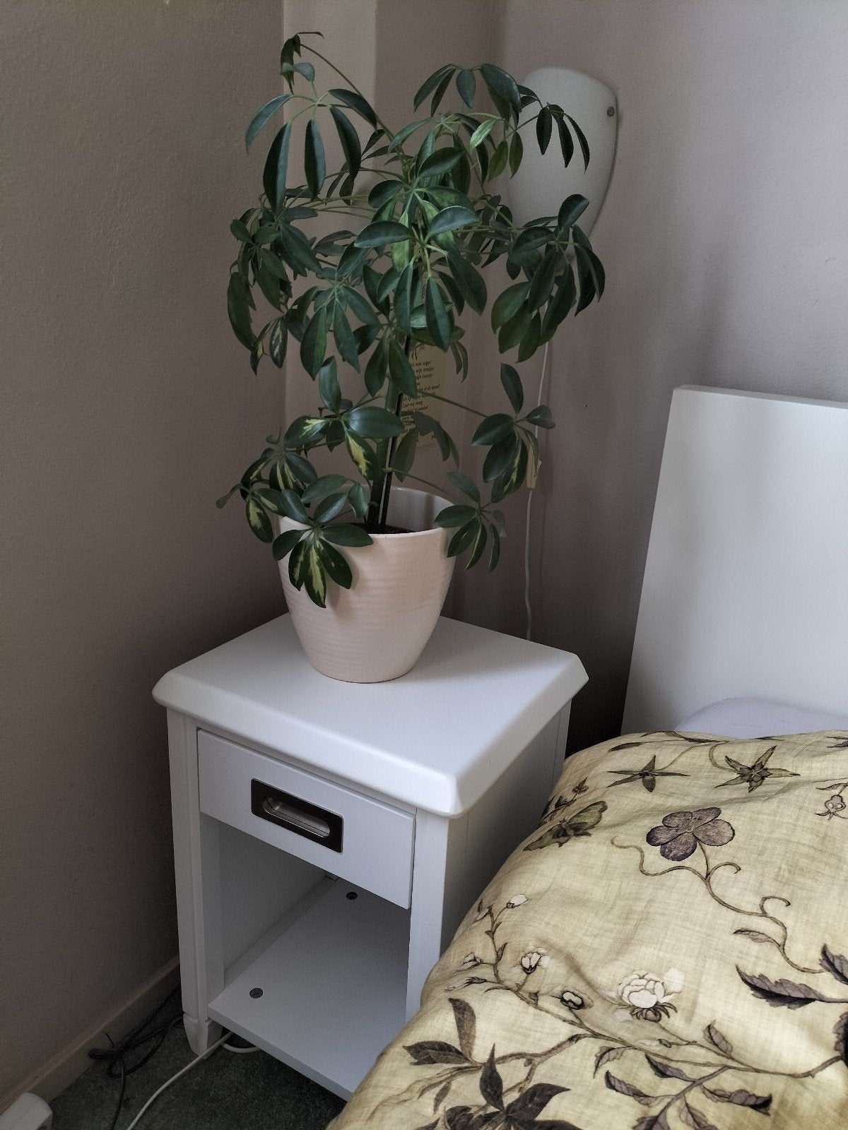 Mooi wit nachtkastje met soepel schuivend laadje, Ophalen, Zo goed als nieuw, Minder dan 45 cm, Minder dan 55 cm