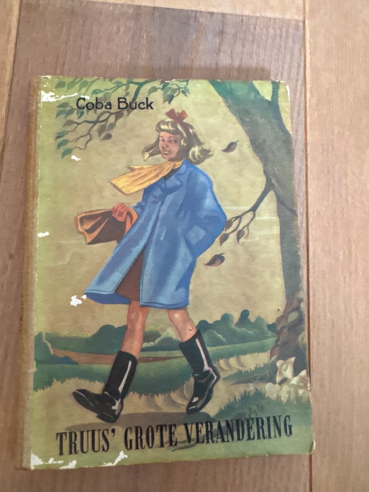 Truus' Grote Verandering - Coba Buck (Vintage Boek), Boeken, Ophalen of Verzenden, Gelezen, Fictie algemeen
