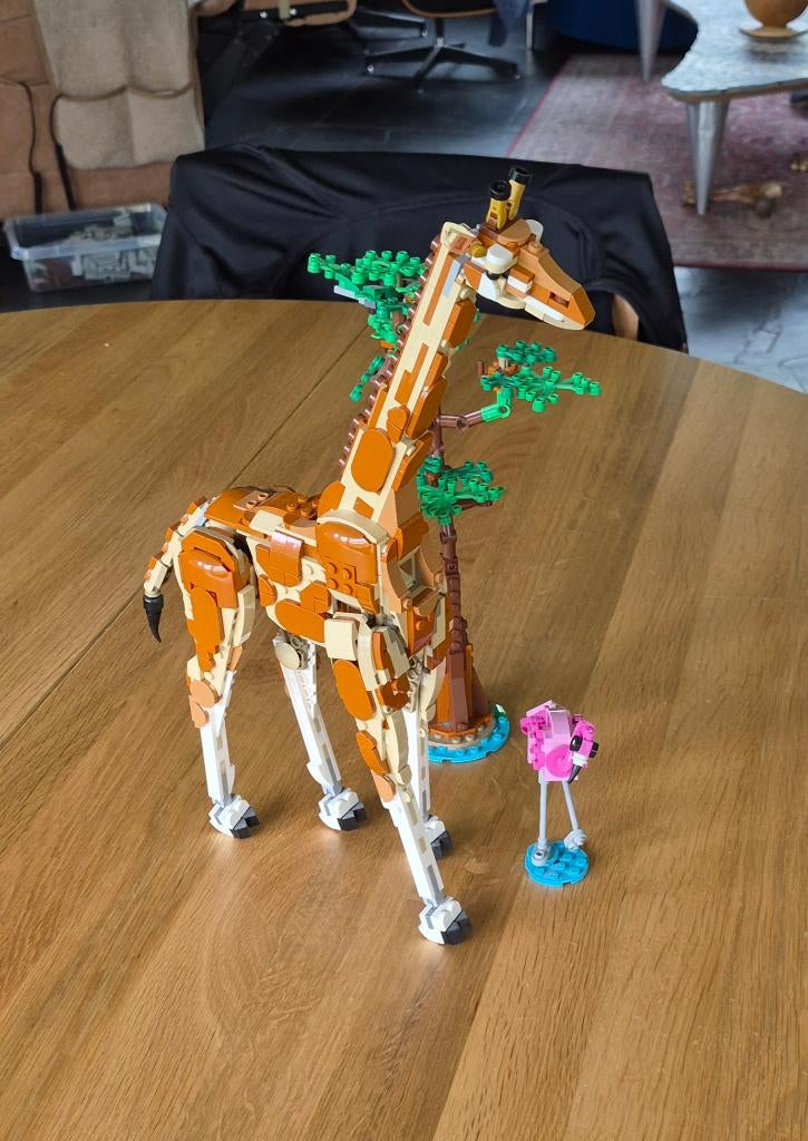 Lego Safaridieren 31150, Compleet, Lego, Ophalen of Verzenden, Zo goed als nieuw