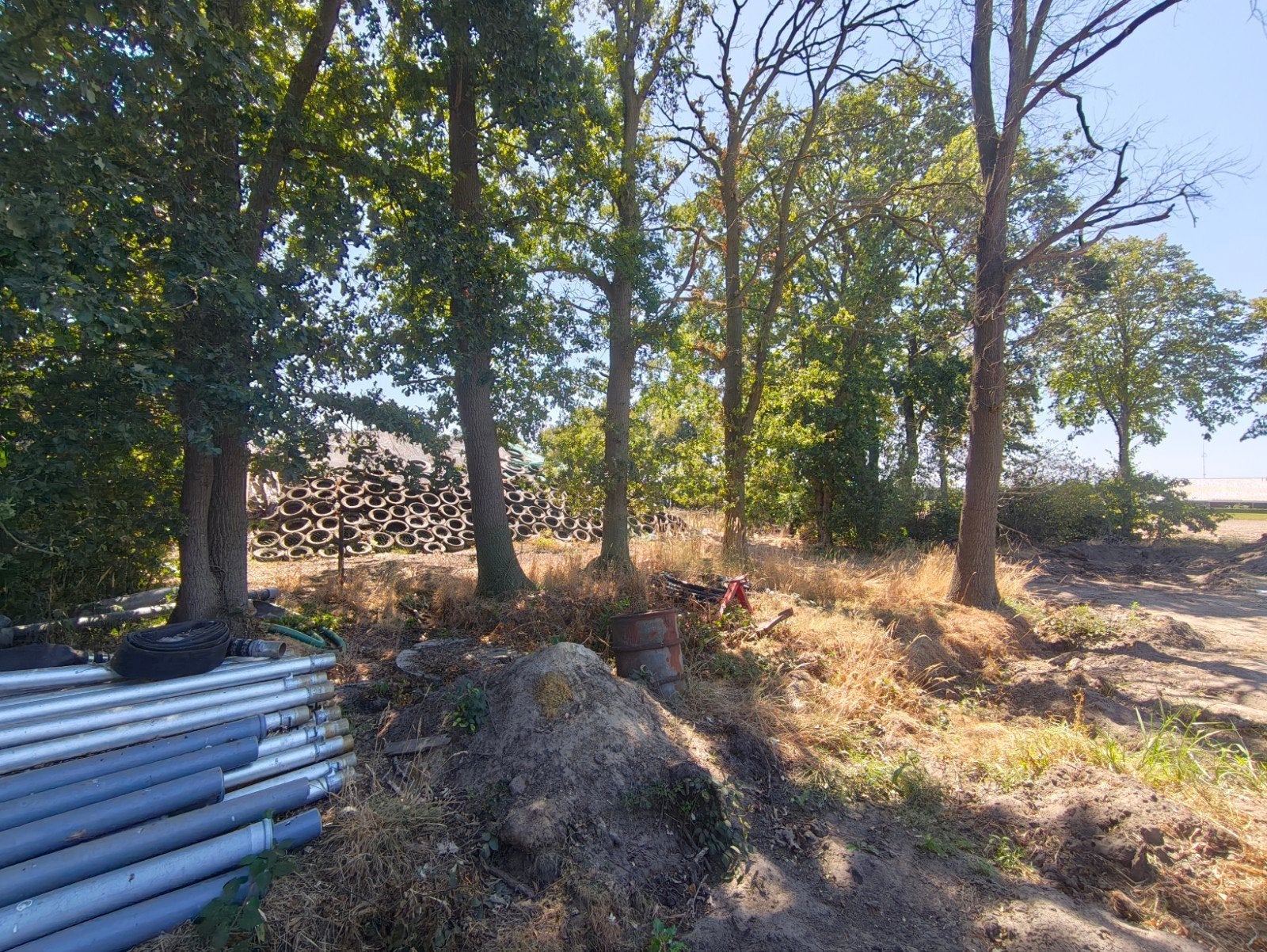 kachelhout/brandhout, 6 m³ of meer, Ophalen, Eikenhout, Stammen