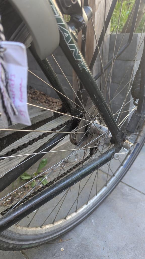 Giant damesfiets, donkergroen, 7 versnellingen, Ophalen, Velgrem, Versnellingen, Giant