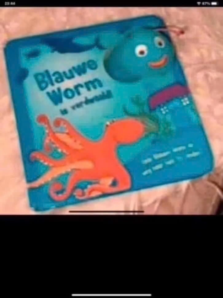 Blauwe Worm is verdwaald - Kinderboek, Ophalen of Verzenden, Zo goed als nieuw, Onbekend