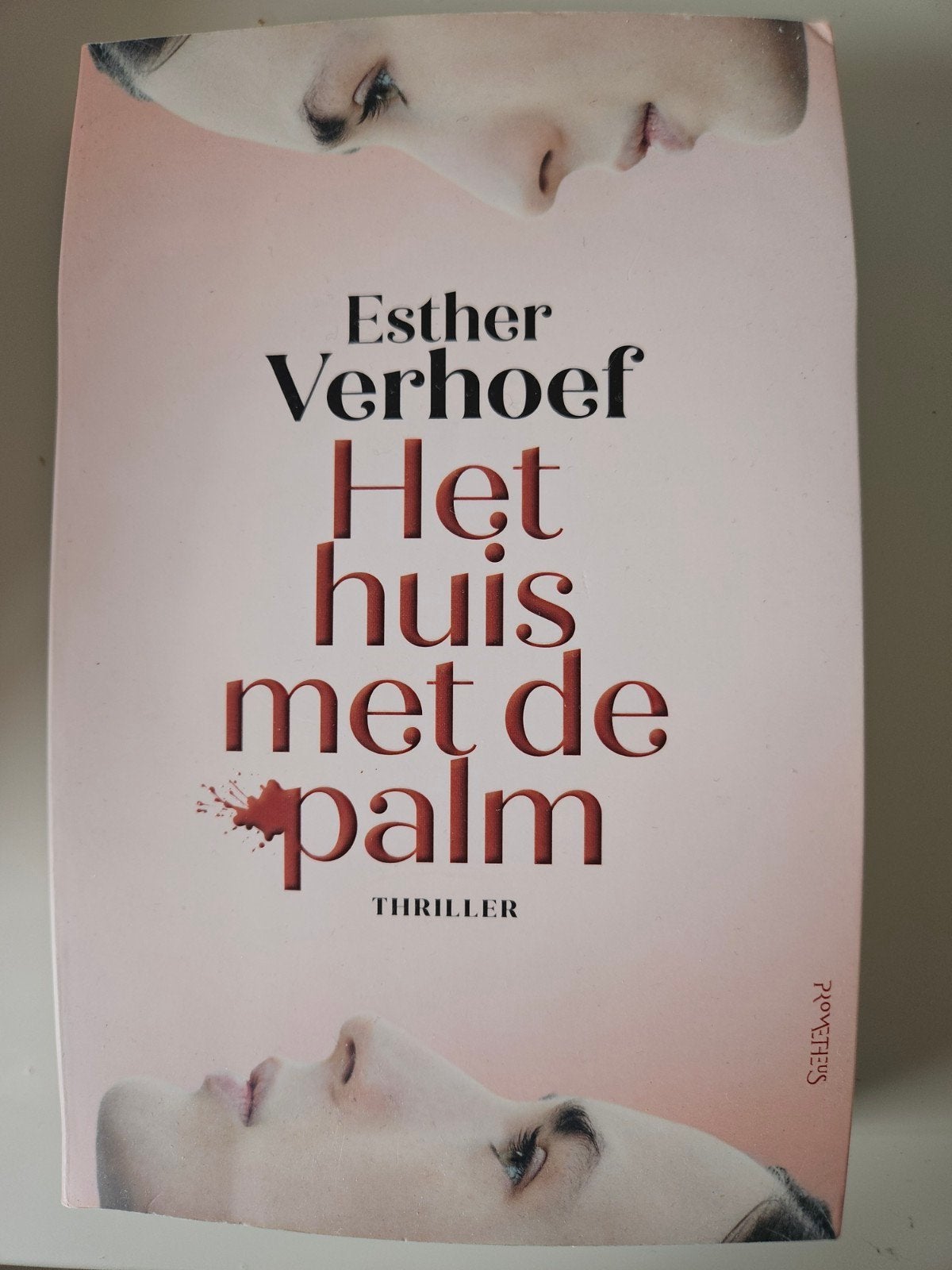 Het huis met de palm - Esther Verhoef (Thriller), Ophalen of Verzenden, Zo goed als nieuw, Esther Verhoef, Nederland