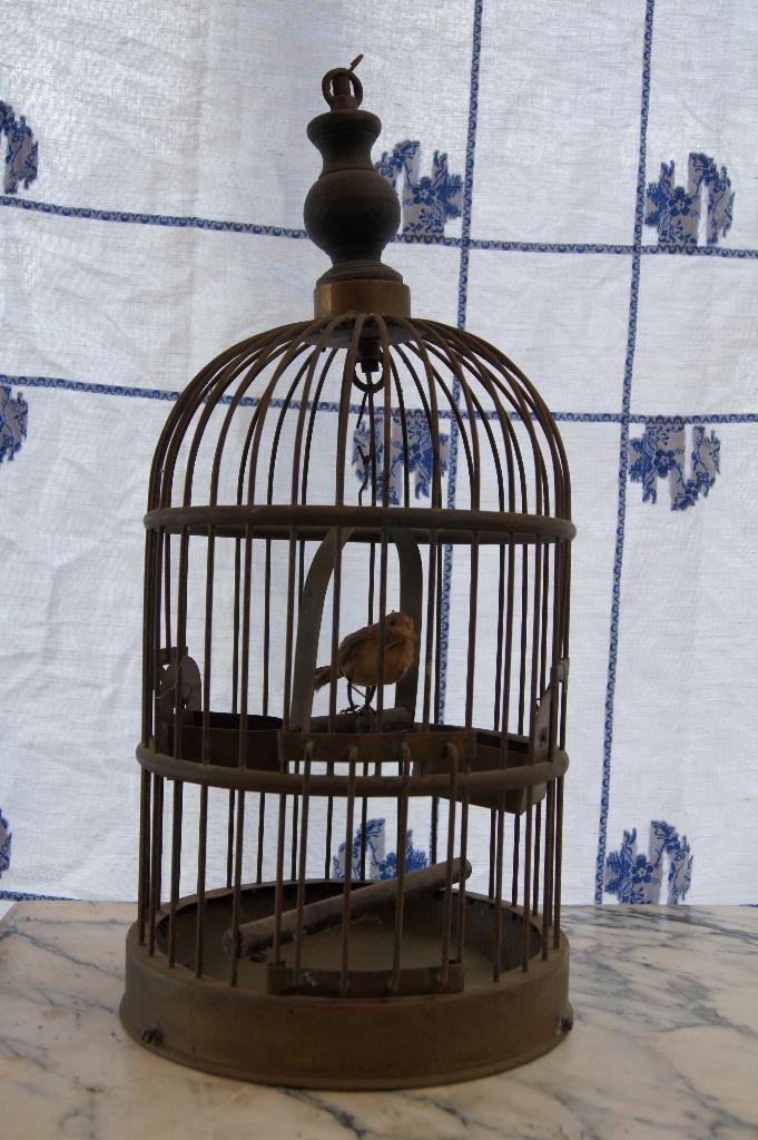 Vogelkooi  Antiek, Ophalen of Verzenden