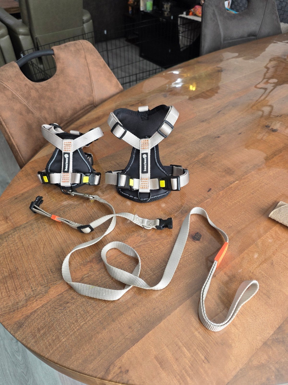 honden tuig, Dieren en Toebehoren, Honden-accessoires, Ophalen