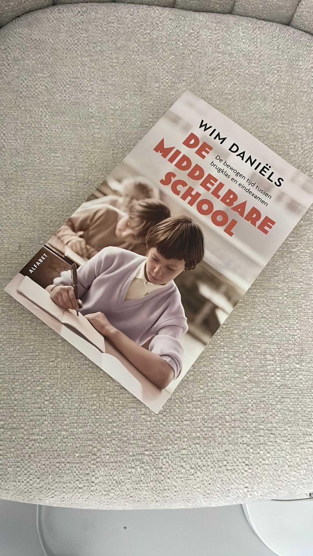 Wim Daniëls - De middelbare school, Ophalen of Verzenden, Zo goed als nieuw, Wim Daniëls