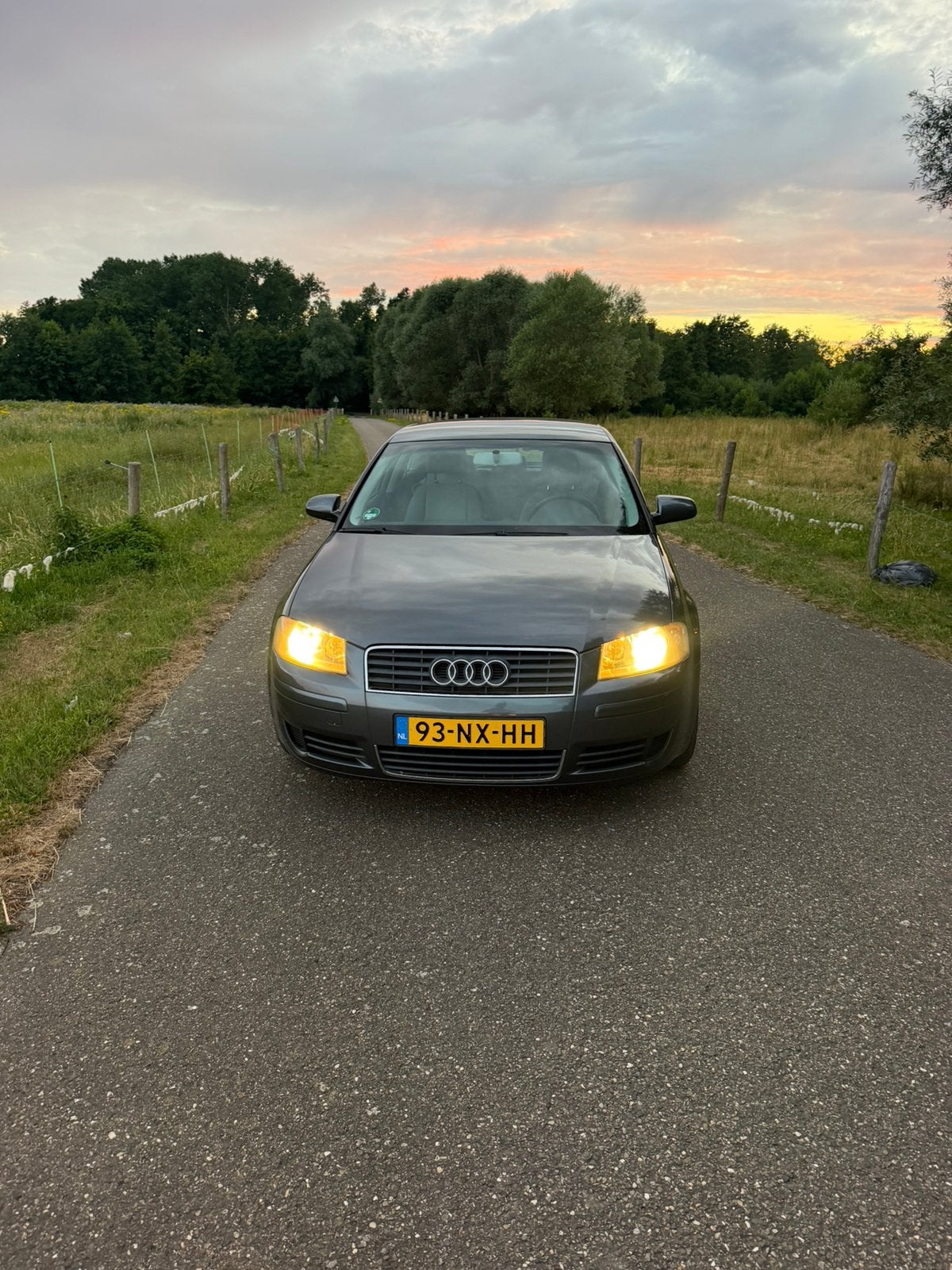 Audi A3 1.6 75KW 3D 2004 Grijs, Auto's, Audi, Particulier, A3, Benzine, C, Hatchback, Handgeschakeld, Origineel Nederlands, Zilver of Grijs