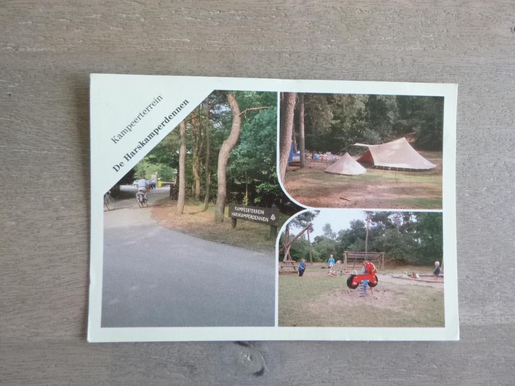 Harskamp, kampeer terrein de Harskamperdennen, Verzenden, 1980 tot heden, Gelopen, Noord-Brabant