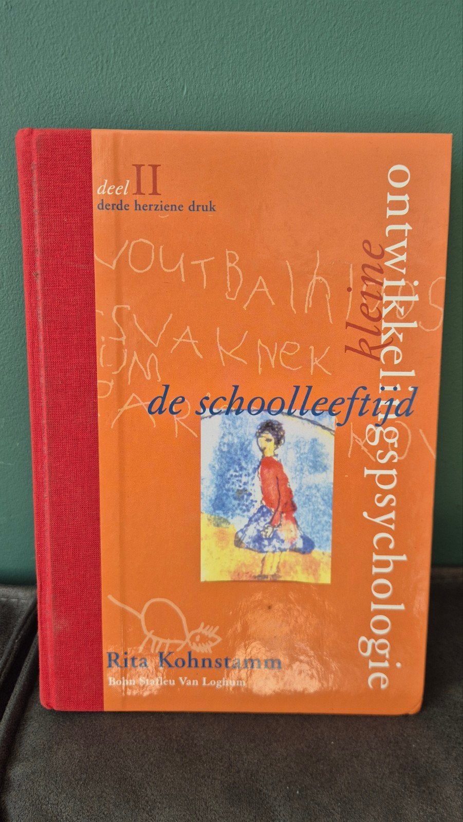 Ontwikkelingspsychologie: De Schoolleeftijd deel 2 psycholog, Boeken, Zo goed als nieuw, Rita Kohnstamm, Gamma, HBO