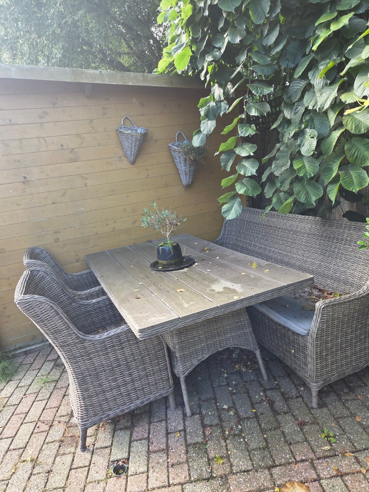 tuinset, Ophalen, Gebruikt, Rechthoekig, Hout