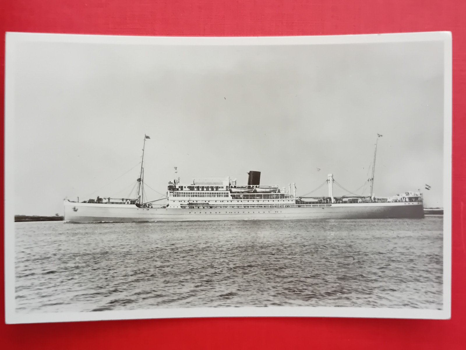 Ansichtkaart M.S. Indrapoera, Verzamelen, Ophalen of Verzenden, Kaart, Foto of Prent