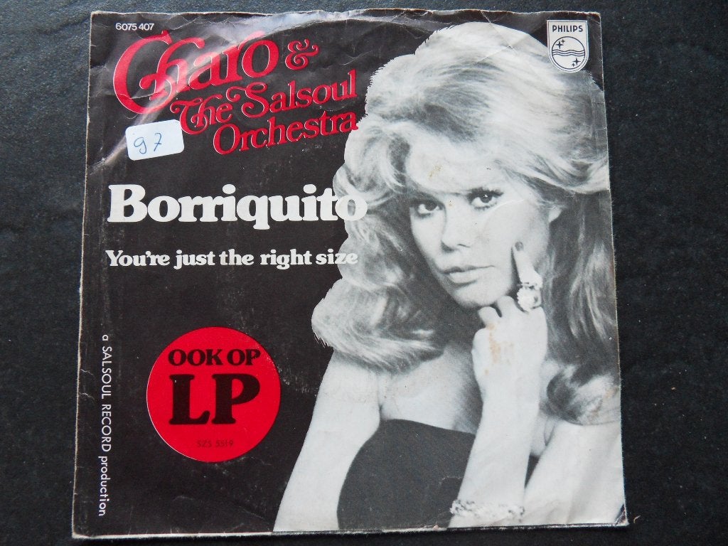 Charo & the Salsoul Orchestra > Borriquito, Ophalen of Verzenden, Zo goed als nieuw