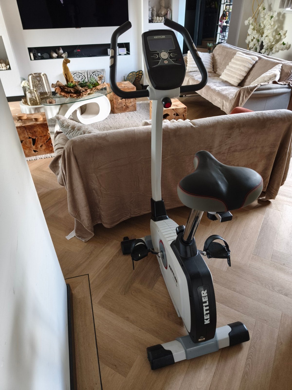 Kettler Hometrainer: voor fitness en revalidatie training., Ophalen, Zo goed als nieuw, Metaal, Benen