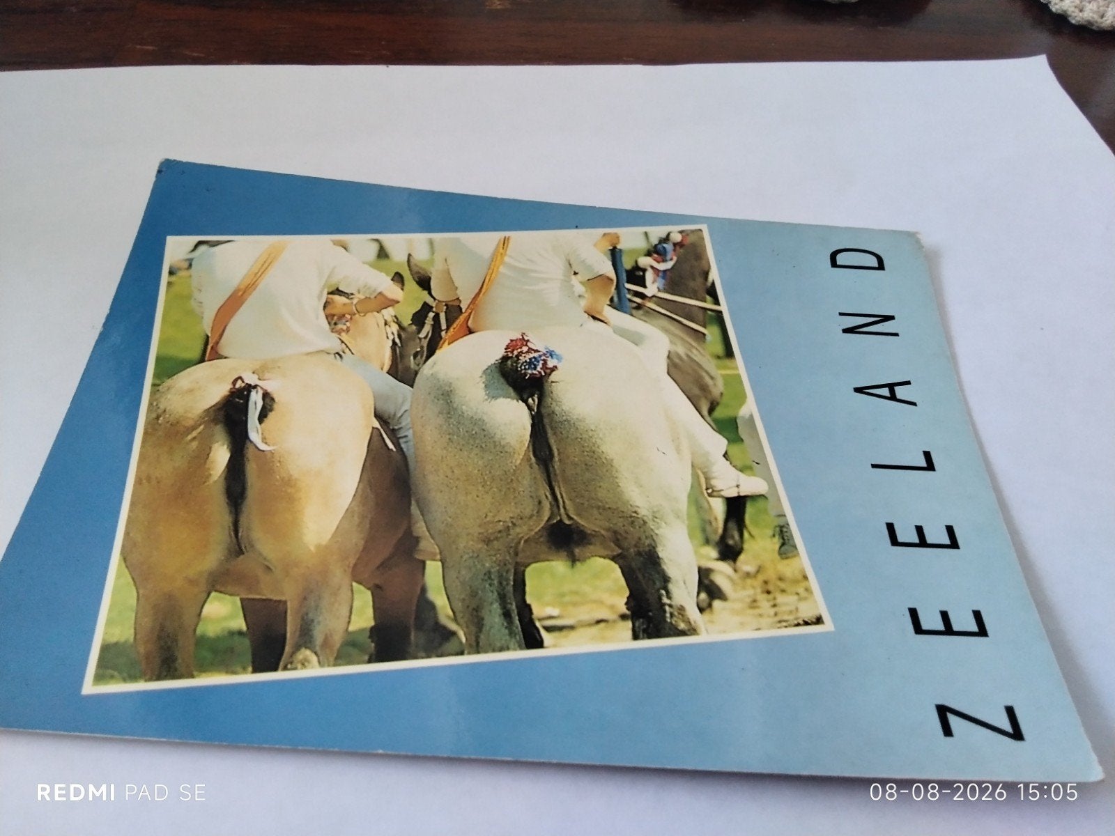 Ansichtkaart Zeeland - Paarden met ruiters, Ophalen of Verzenden, 1980 tot heden, Zeeland