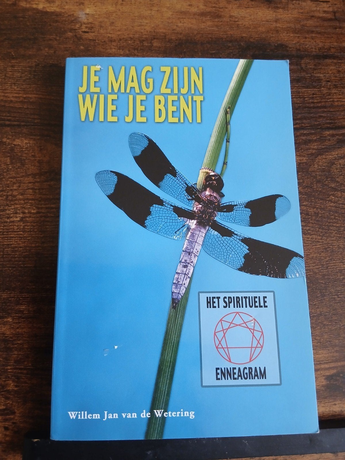 Je Mag Zijn Wie Je Bent - Het Spirituele Enneagram, Boeken, Achtergrond en Informatie, Spiritualiteit algemeen, Willem Jan van de Wetering