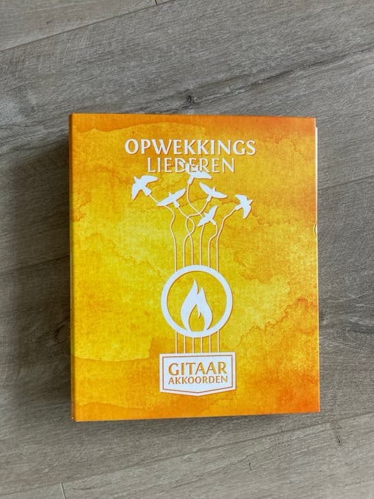 Opwekking gitaar, Verzenden, Zo goed als nieuw, 120-bas, Overige merken