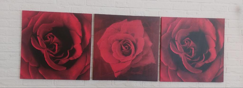 3 x prachtige rozen canvas schilderijen, Ophalen of Verzenden
