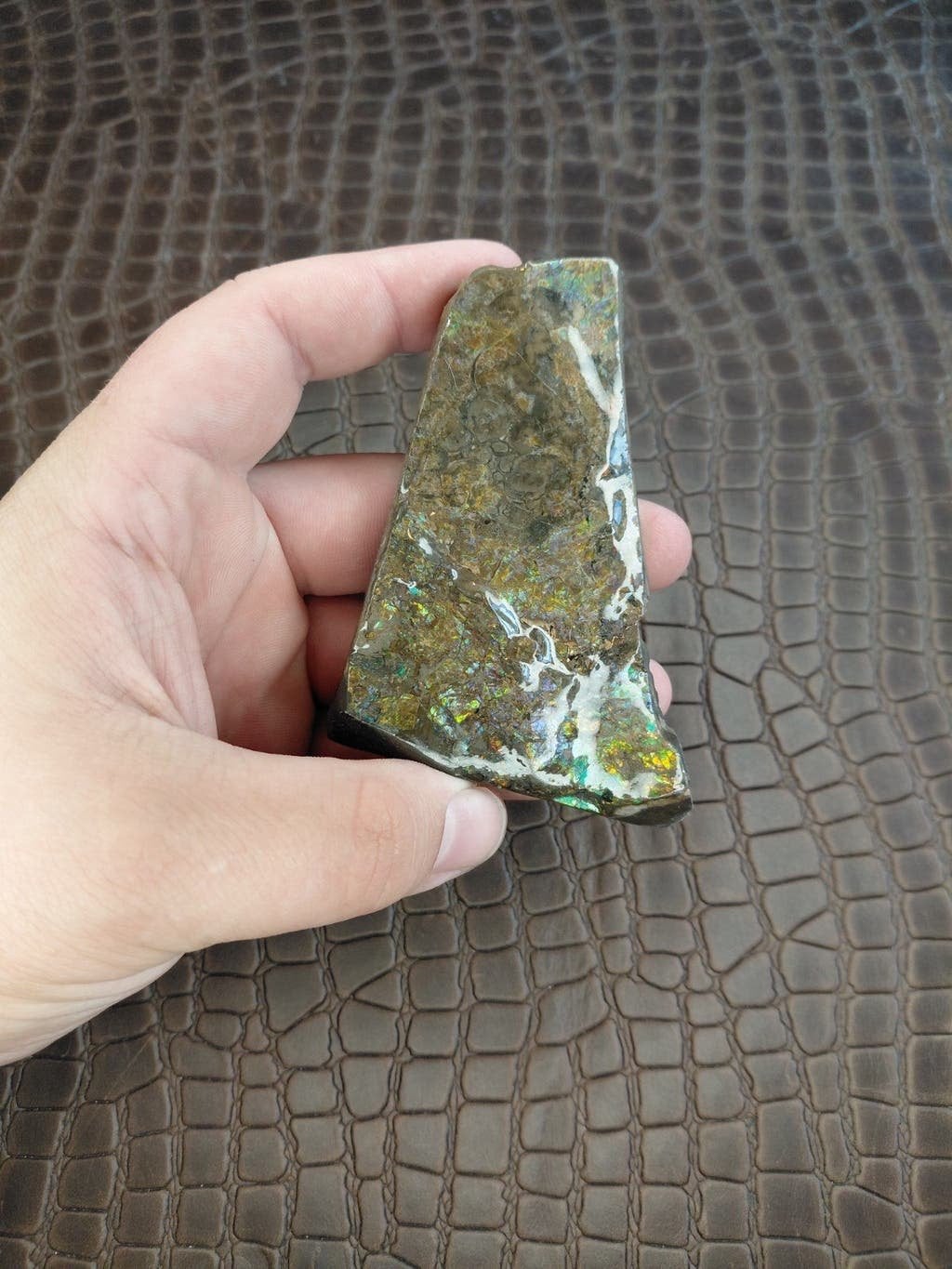 Groen paars geel gekleurde Ammoliet, Verzenden