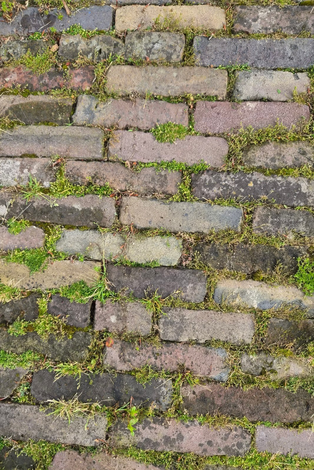 Mooie partij oude waaltjes ( 100m2), Ophalen